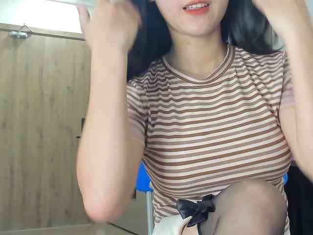Lanmeow webcam