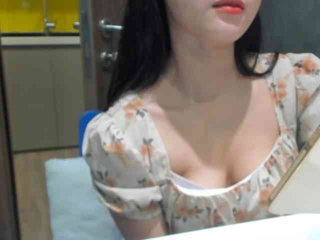Lanmeow webcam