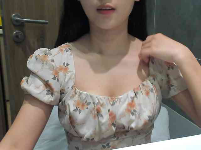 Lanmeow webcam
