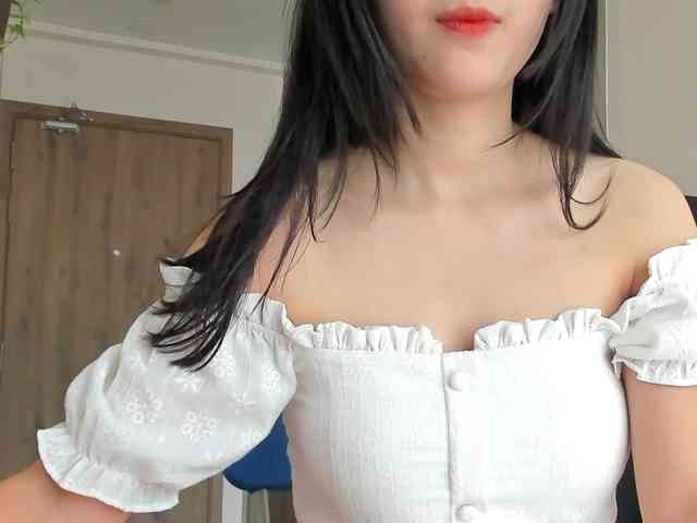 Lanmeow webcam