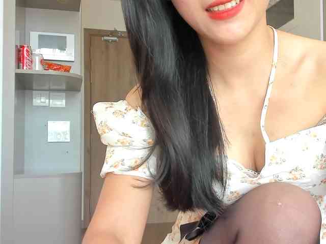 Lanmeow webcam