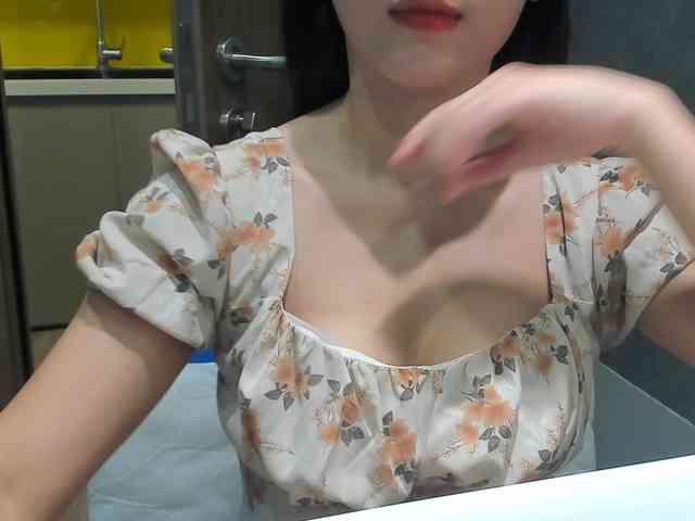 Lanmeow webcam
