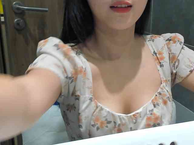 Lanmeow webcam