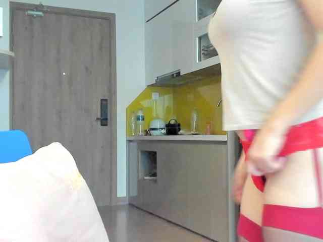 Lanmeow webcam