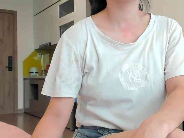 Lanmeow webcam