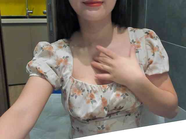 Lanmeow webcam