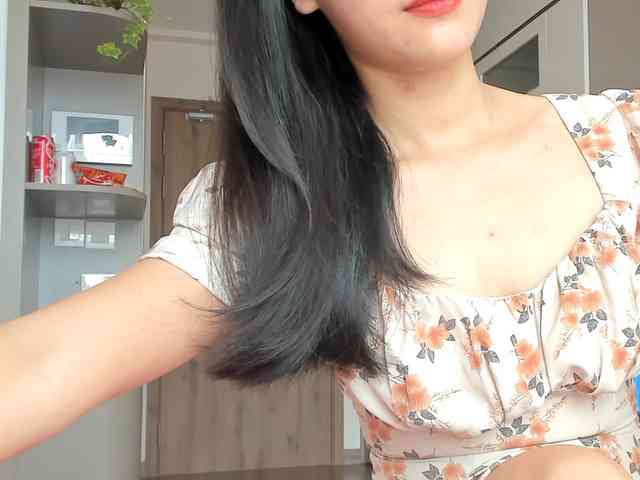 Lanmeow webcam