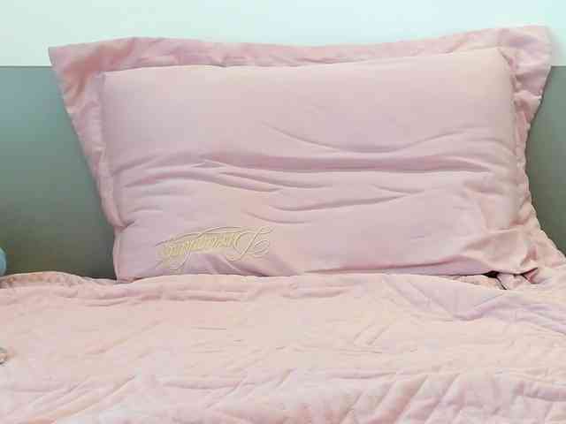 Lanmeow webcam