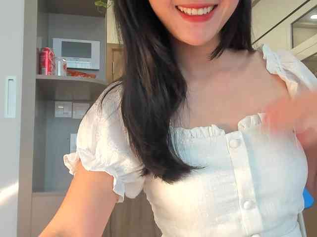 Lanmeow webcam