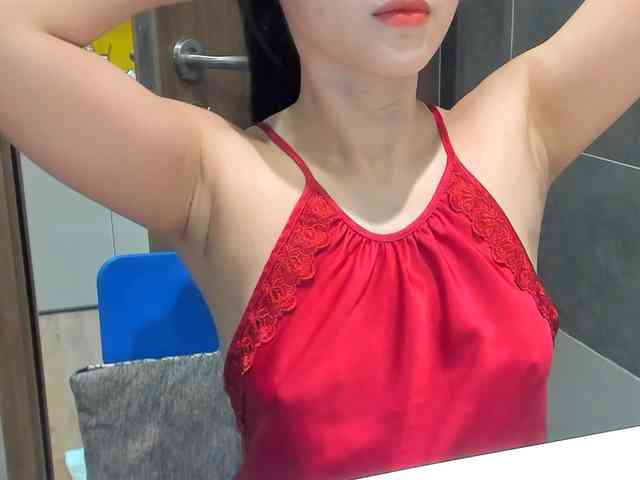 Lanmeow webcam