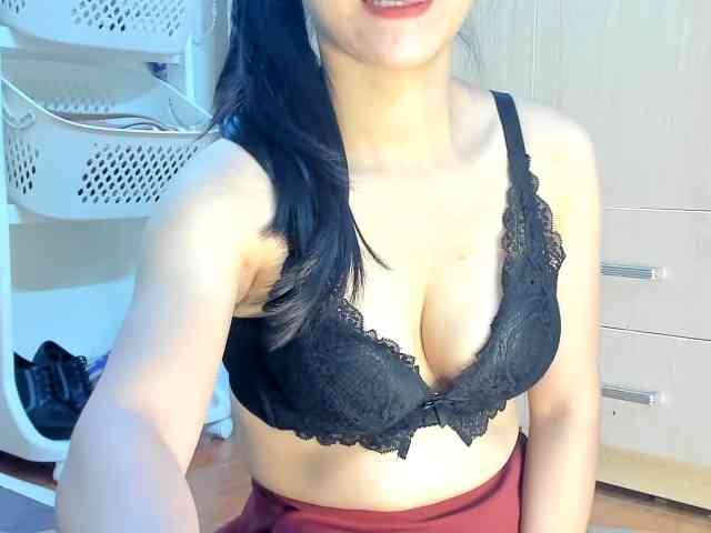 Lanmeow webcam