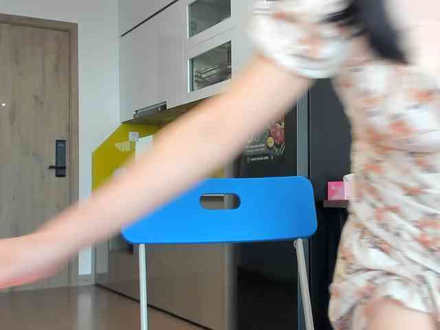 Lanmeow webcam
