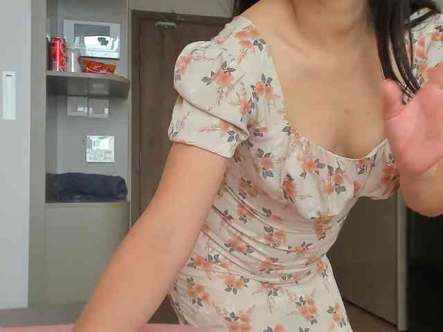 Lanmeow webcam