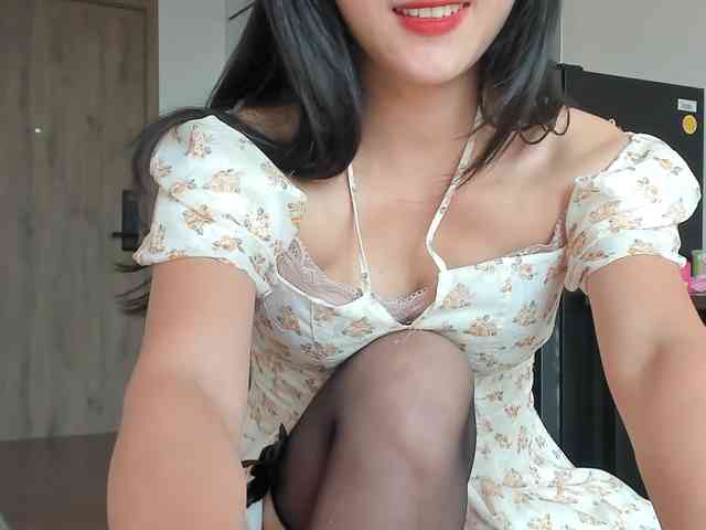 Lanmeow webcam
