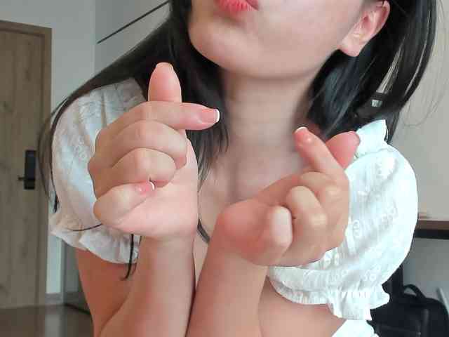 Lanmeow