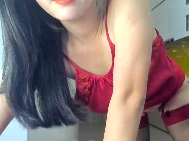 Lanmeow webcam