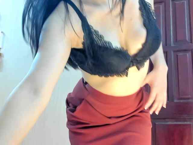 Lanmeow webcam