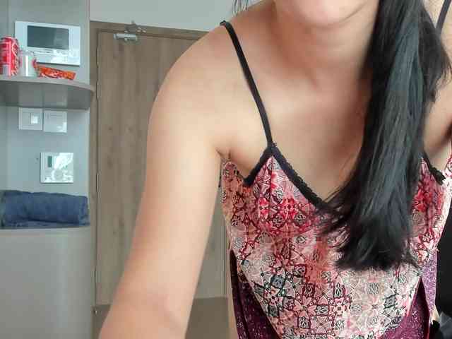 Lanmeow webcam