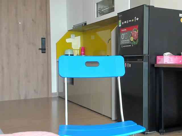 Lanmeow webcam