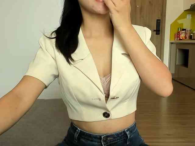 Lanmeow webcam