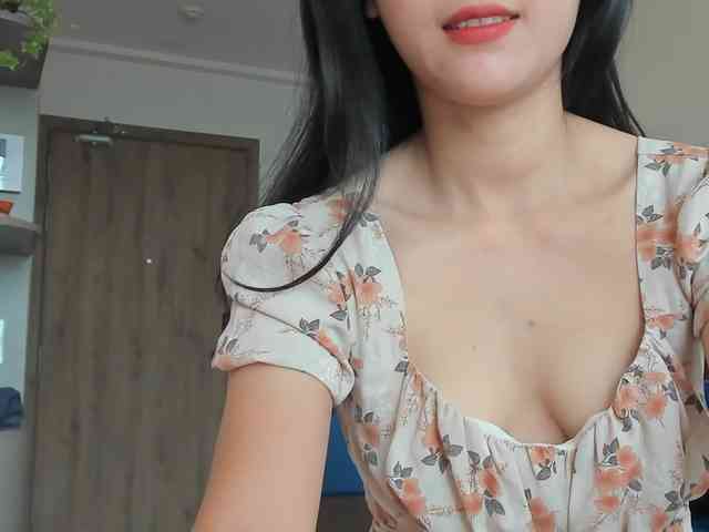 Lanmeow webcam