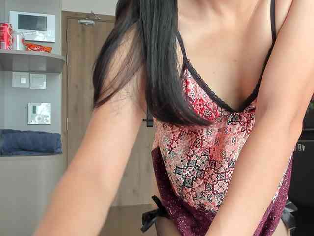 Lanmeow webcam
