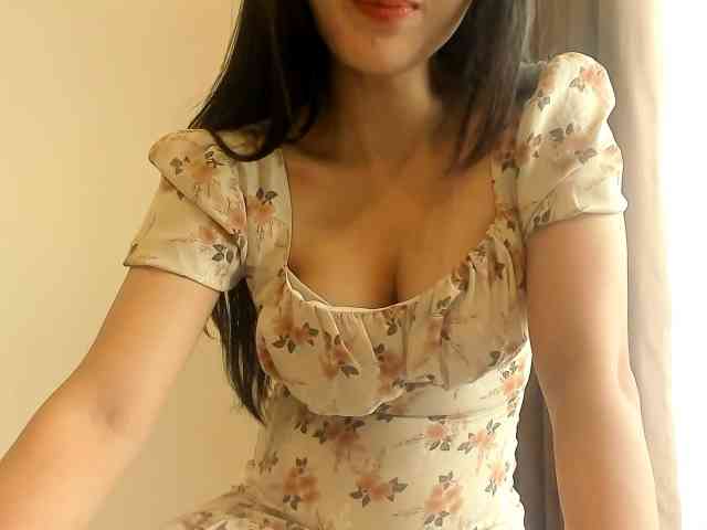 Lanmeow webcam