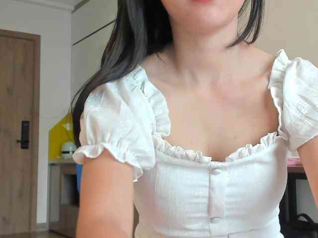 Lanmeow webcam