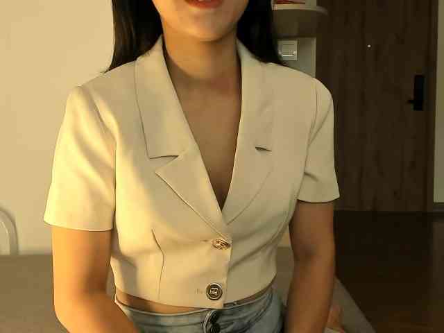Lanmeow webcam