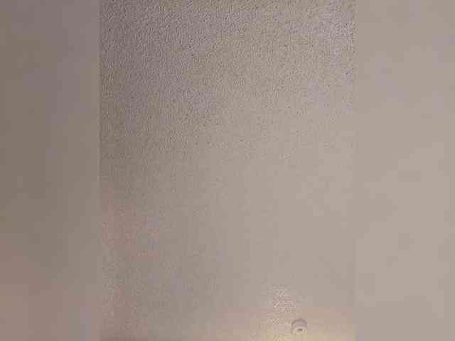 RavenStar webcam