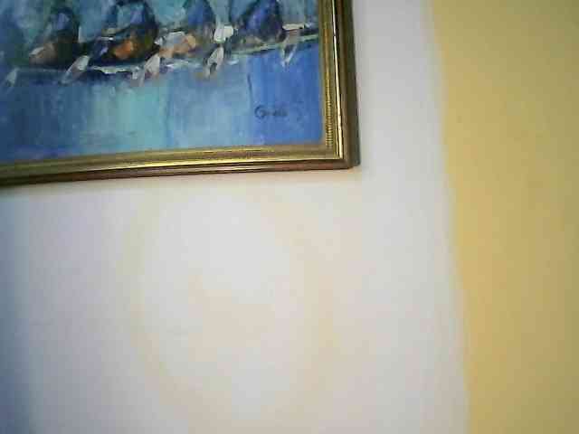 X-rosy webcam