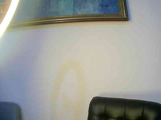 X-rosy webcam