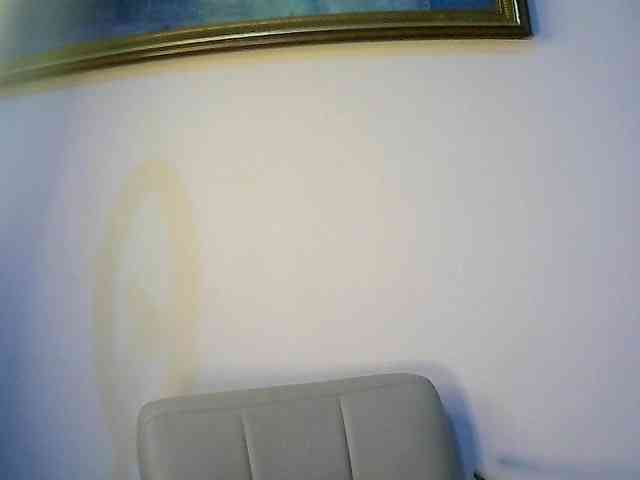 X-rosy webcam