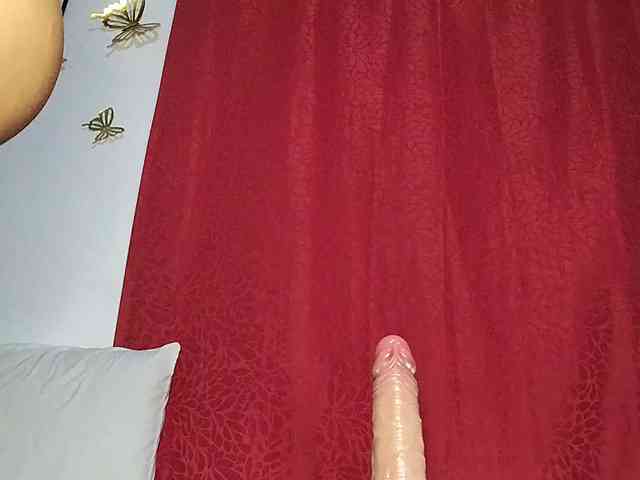 milu_curly webcam
