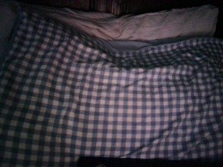 Sexysuzzy12 Porn Show