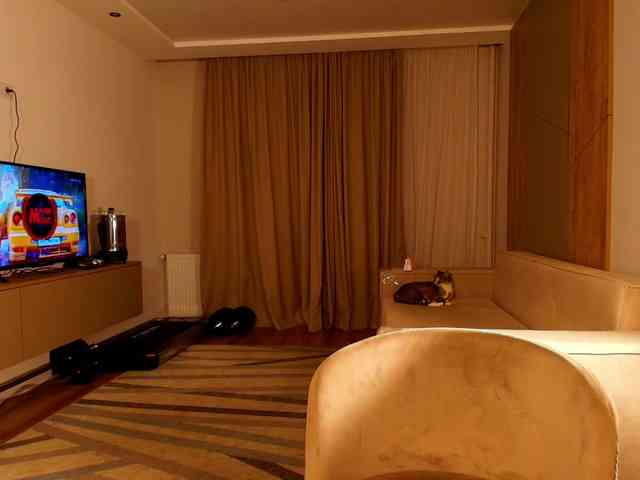 lizokkdemonsha Live Webcam on BongaCams lizokkdemonsha Live Webcam on BongaCams