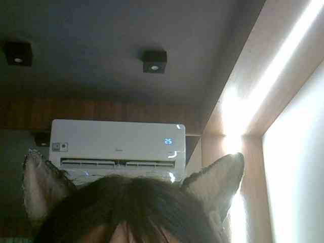 SkinnyKitty Live Webcam on BongaCams