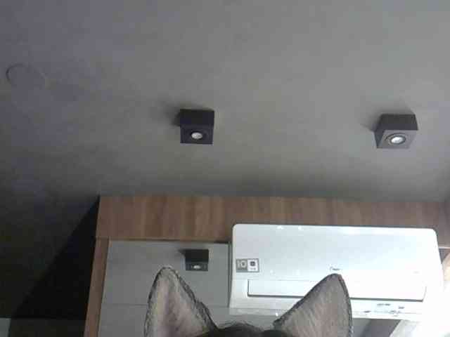 SkinnyKitty Live Webcam on BongaCams