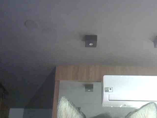 SkinnyKitty Live Webcam on BongaCams