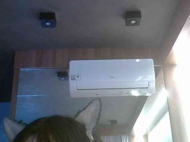 SkinnyKitty Live Webcam on BongaCams