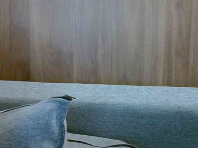 SkinnyKitty webcam