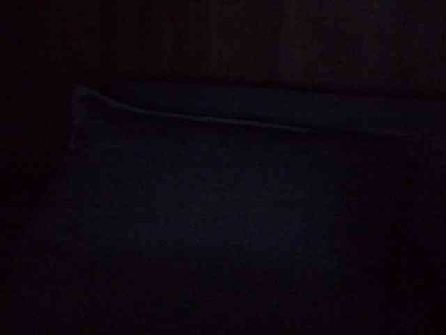 SkinnyKitty webcam