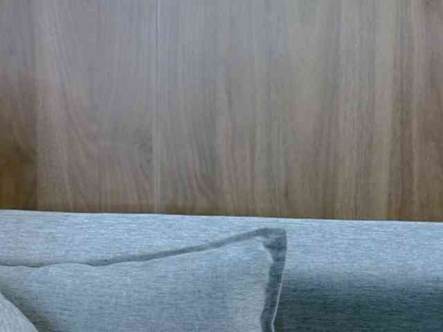 SkinnyKitty webcam