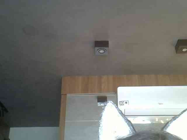 SkinnyKitty Live Webcam on BongaCams