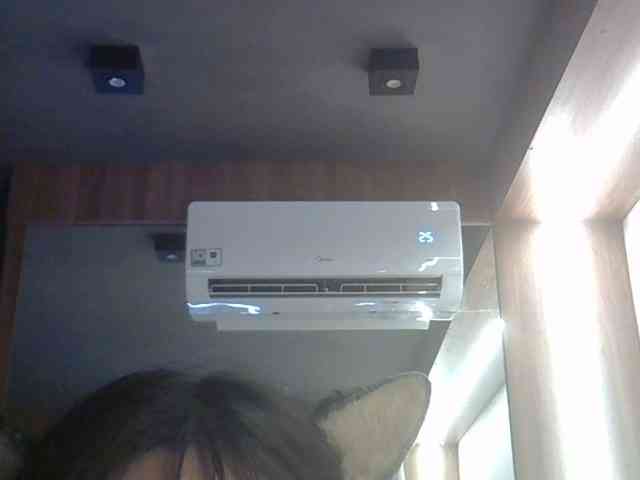 SkinnyKitty Live Webcam on BongaCams