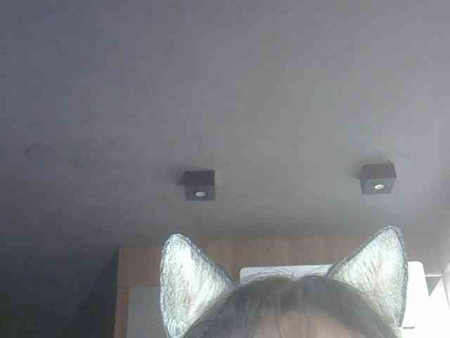 SkinnyKitty Live Webcam on BongaCams