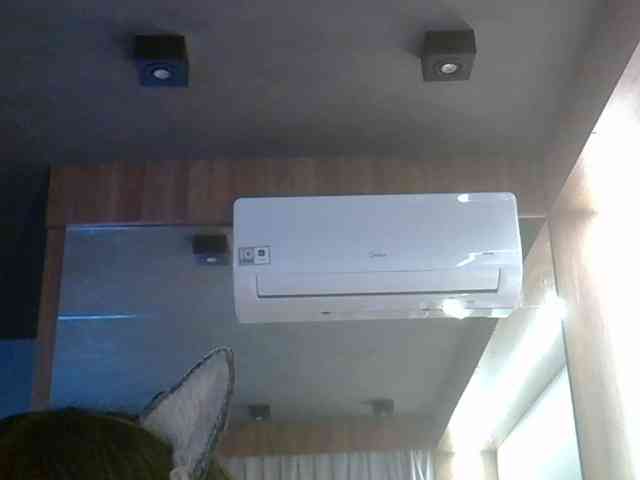 SkinnyKitty Live Webcam on BongaCams