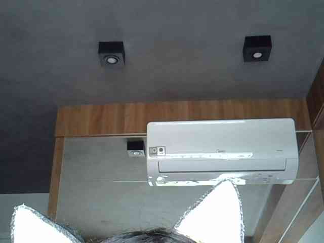 SkinnyKitty Live Webcam on BongaCams