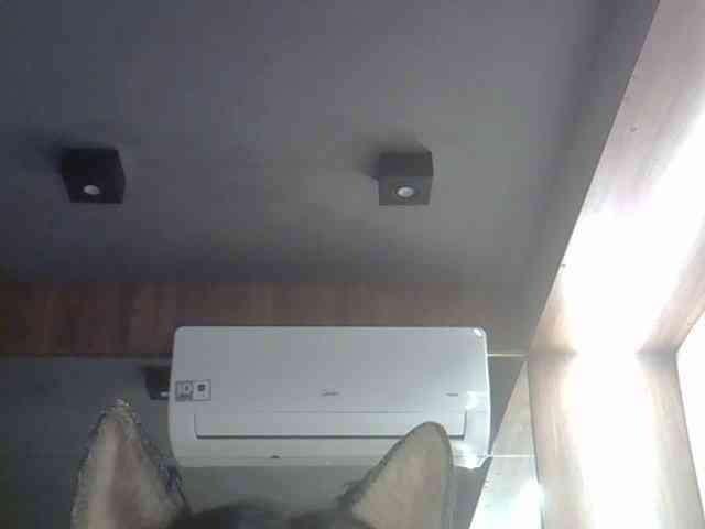 SkinnyKitty's Sexcam