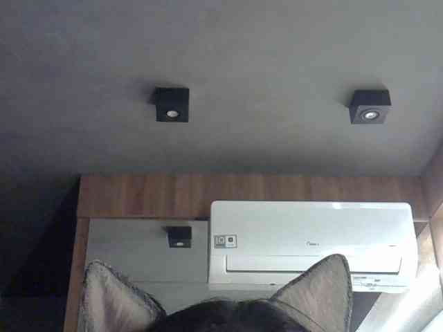 SkinnyKitty Live Webcam on BongaCams
